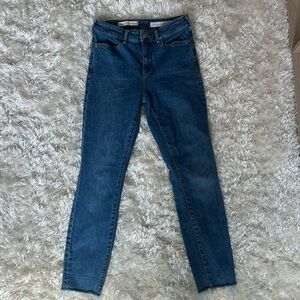 Pilcro and The Letter Press by Anthropologie High Rise Skinny Jeans Size 26